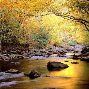 欧美综合第一页
